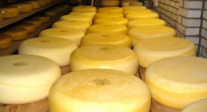 cheese-shelf4